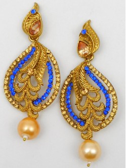 Fashion Earrings